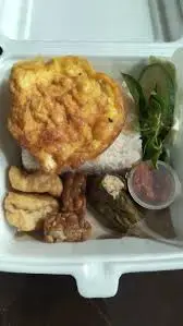 Nasi Tahu, Tempe, Terong
