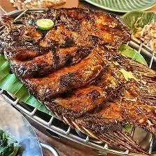 Paket Premium: Gurami Jumbo Juara