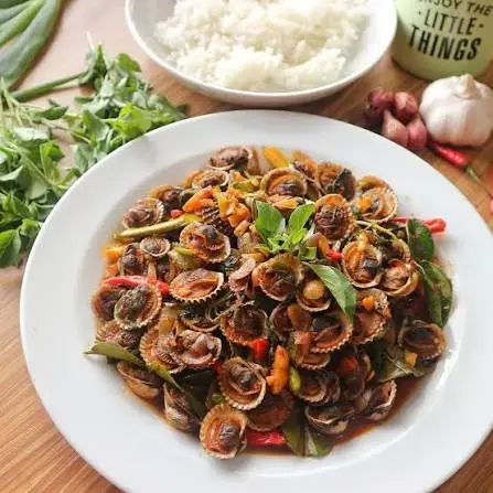 Kerang Dara