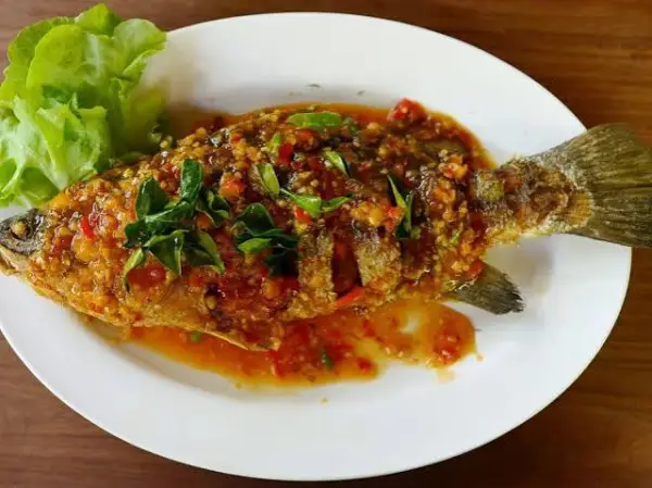 Kerapu