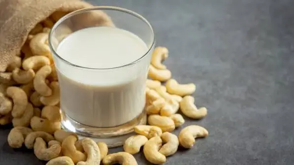KACANG SUSU